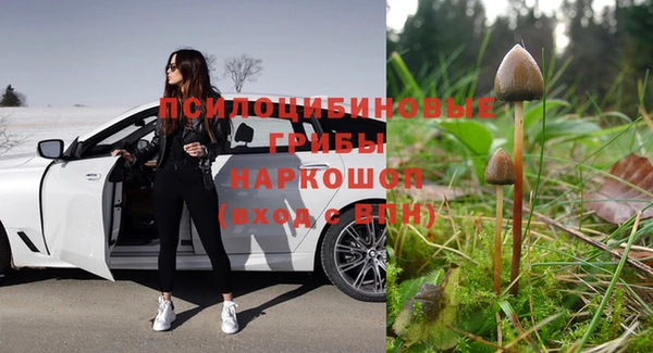 спайс Аркадак