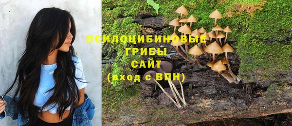таблы Армянск