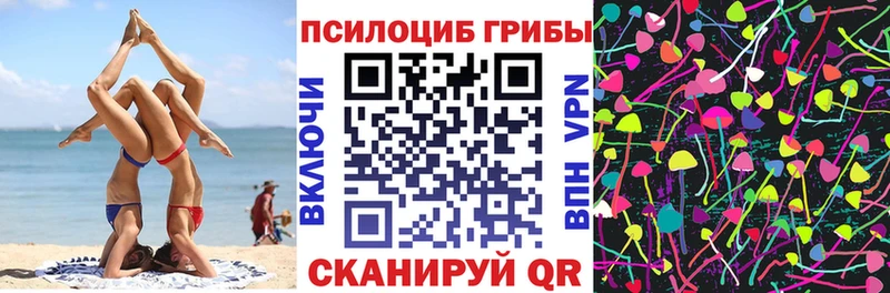 Купить  Саяногорск  Галлюциногенные грибы мицелий 